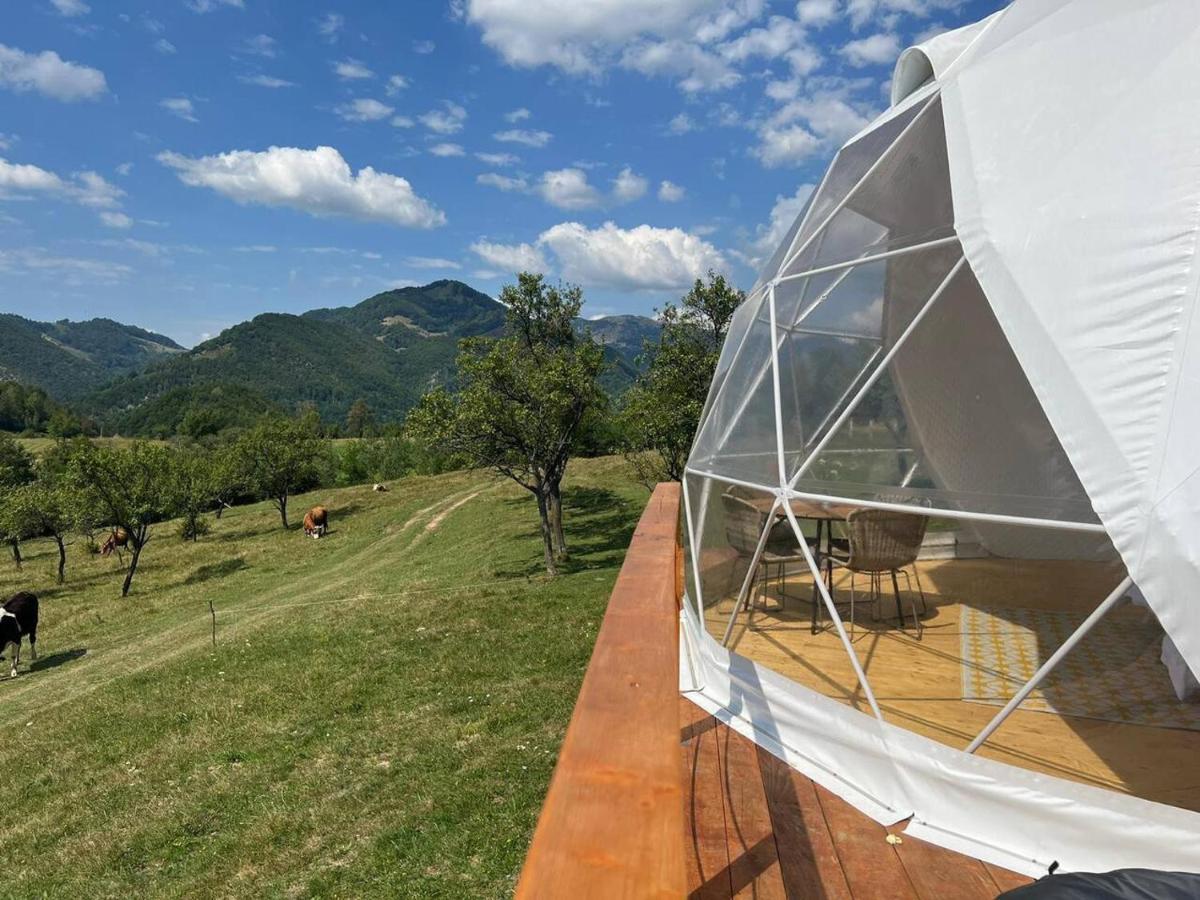 Tranquil Dome - Manta'S Retreat Glamping Cornereva Exterior foto