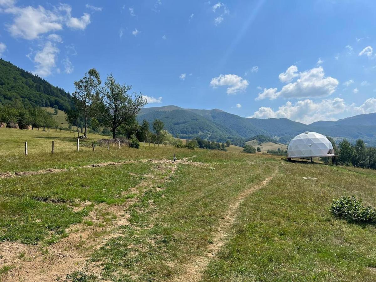 Tranquil Dome - Manta'S Retreat Glamping Cornereva Exterior foto